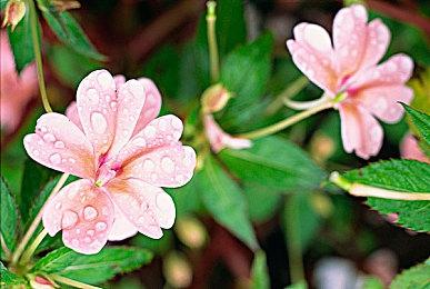 Epic称苹果不符合要求 无法中止针对AppStore禁令